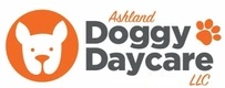 ashland doggy daycare