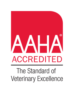 aaha-accredited
