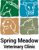 spring-meadow-logo_textSpring Meadow Veterinary Clinic logo