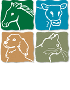 Spring Meadow Veterinary Clinic